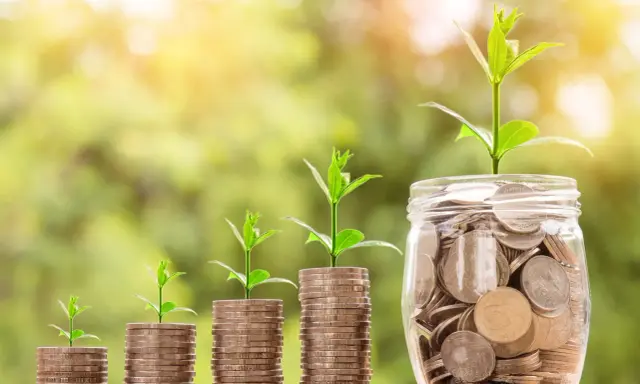 Plantas verdes crecen sobre pilas de monedas y un frasco lleno de ellas, simbolizando el crecimiento de las finanzas.