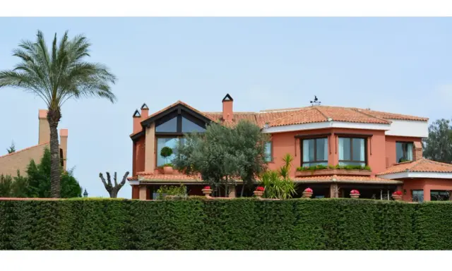 Vistas de casas de lujo en Granada, con palmeras, olivos y un seto verde.