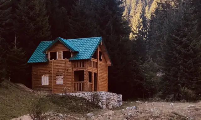 Acogedora tiny house de madera con tejado verde, rodeada de un bosque oscuro y un prado.